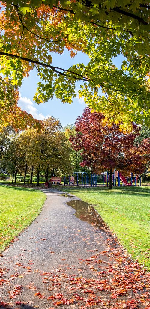 Home Schaumburg Park District